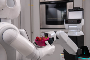 hsr_bowl_small.jpg hsr_bowl_small.jpg